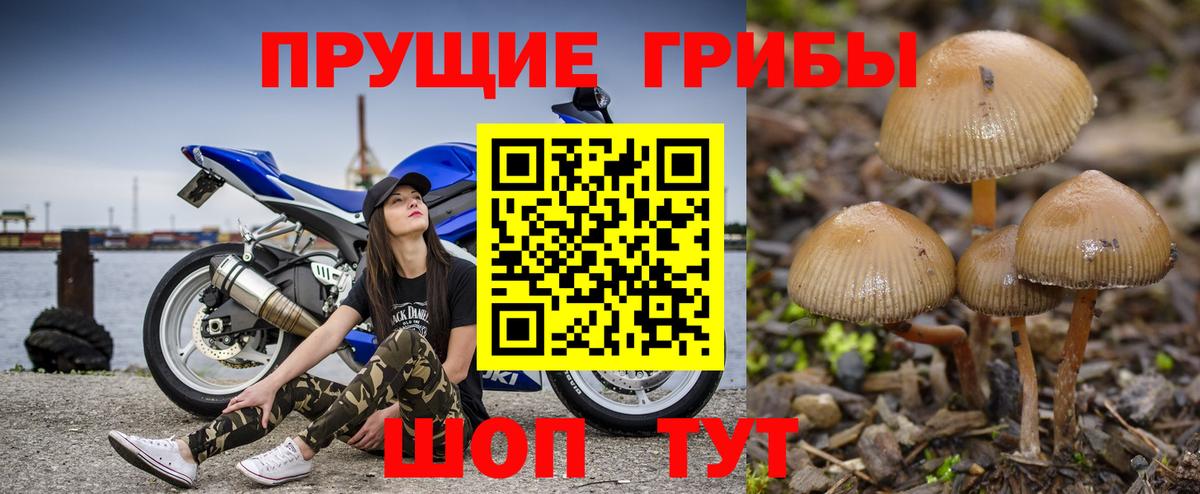 Галлюциногенные грибы прущие грибы Богородицк