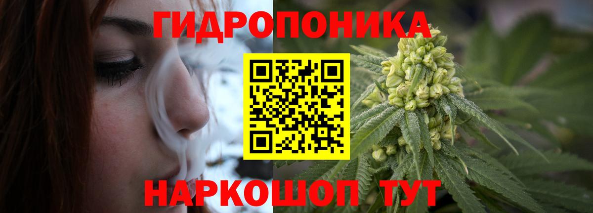 Бошки Шишки план Богородицк